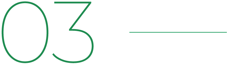 03